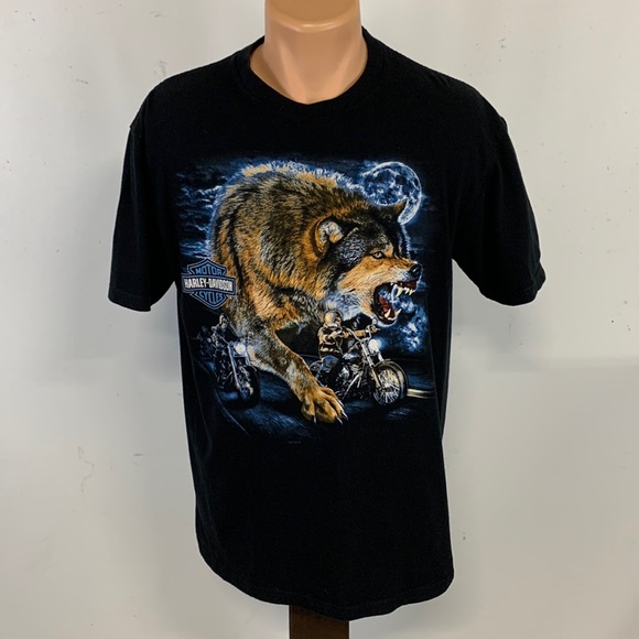 Harley-Davidson Other - Harley-Davidson crew neck short sleeve tee.  L